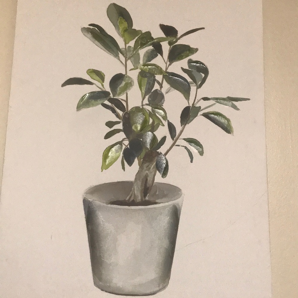Picture - Picture 1 of 1